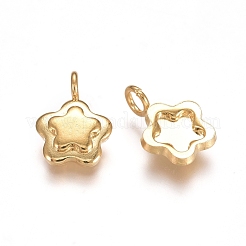 Pendentifs cabochons en acier inoxydable 304&nbsp;STAS-F222-018G