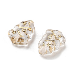 Прозрачные акриловые бусины MACR-M045-09