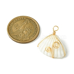 Подвески из натуральной оболочки из медной проволоки&nbsp;PALLOY-TA00080