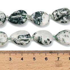 Натурального дерева агат бисер нитей&nbsp;G-NH0068-01