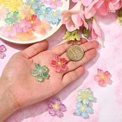 24шт 12 цвета подвески из полупрозрачной смолы RESI-CJ0002-50