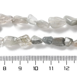 Натуральный орлиный глаз бусы G-P497-01C-14