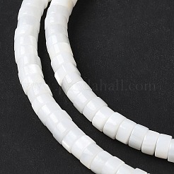 Нити бусин из натуральных пресноводных ракушек X-SSHEL-C013-04B