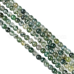 Природные моховой агат нитей бисера G-K146-07-3mm