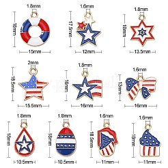 50шт 10 стиля подвески из сплава с эмалью&nbsp;ENAM-CJ0003-08