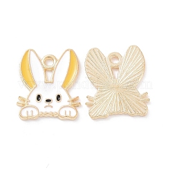 Подвески из эмали и сплава&nbsp;X-PALLOY-D015-08