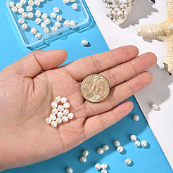 1 нить бусин из натурального культивированного пресноводного жемчуга PEAR-SC0001-42