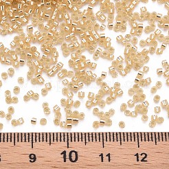 Стеклянные цилиндрические бусины&nbsp;SEED-S047-R-003