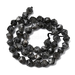 Натуральные нити бус из ларвикита&nbsp;G-Z119-A32-02