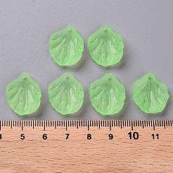 Прозрачные матовые акриловые подвески&nbsp;MACR-S371-01A-733