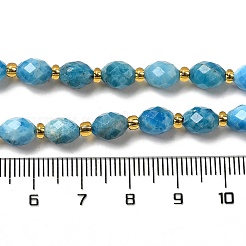 Природного апатита нитей бисера G-H297-C03-01