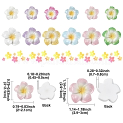 60 шт. 2 кабошона из непрозрачной смолы в форме цветка плюмерии&nbsp;CRES-YW0002-60