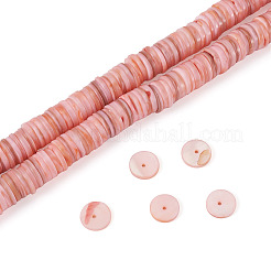 1 Strang natürliche Süßwasser-Muschelperlenstränge&nbsp;SHEL-TA0001-35B