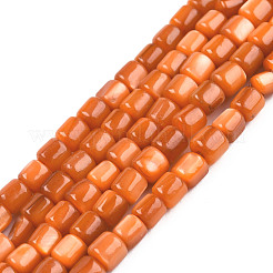 天然淡水シェルビーズ連売り  染め  コラム  ミックスカラー  3.5x3~3.5mm  穴：1mm  約111~117個/連  14.37インチ〜14.65インチ（36.5~37.2cm）&nbsp;SHEL-N026-233