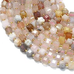 Натуральные вишневые агатовые бусины G-K389-A38-01