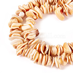 1 нить бусин из натуральных ракушек&nbsp;SSHEL-TA0001-13