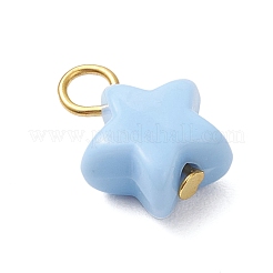 Непрозрачные акриловые подвески&nbsp;PALLOY-JF04199-01