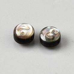 10 stücke 10 arten natürliche schwarze lippe shell flache runde perlen&nbsp;BSHE-WH0019-06B