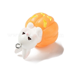 Подвески из смолы&nbsp;LS-CRES-D009-01H