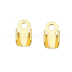 Железом мозг конец IFIN-T021-01G