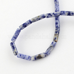 Perles naturelles de pierres précieuses de tache bleue brins&nbsp;G-R181-16