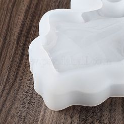 Силиконовые Молды для хранения своими руками SIMO-H019-03A