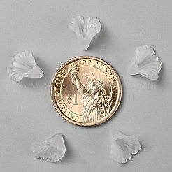 Прозрачные акриловые бусины&nbsp;LS-X-PL622-9