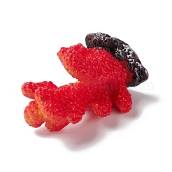 Украшения из искусственного коралла из смолы&nbsp;DJEW-G026-05B