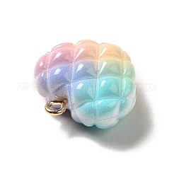 Подвески из непрозрачной смолы цвета радуги RESI-F035-01