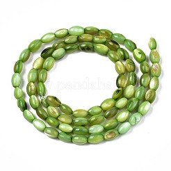 Shell perle d'acqua dolce fili&nbsp;SHEL-T009-B15-04