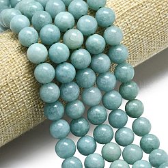 Chapelets de perles en jade de malaisie naturelle&nbsp;G-L645-A01-10mm-25