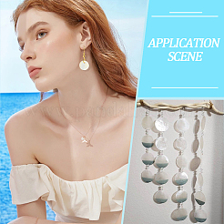 180 шт. подвески из ракушек капиз&nbsp;SHEL-SC0001-89