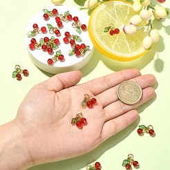 30шт подвески из стекла и акрила из бисера&nbsp;PALLOY-CJ0003-03