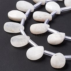 Бусины из натурального радужного лунного камня G-G805-B16