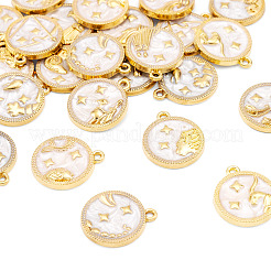 24шт 12 стиля подвески из сплава с эмалью&nbsp;ENAM-TA0002-58