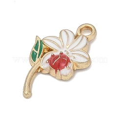 Подвески из эмали и сплава&nbsp;LS-PALLOY-V003-01G-05