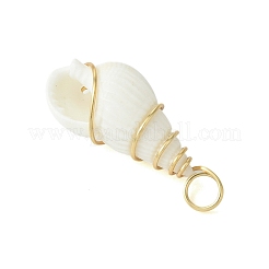 Pendentifs en coquille de trompette naturelle&nbsp;PALLOY-JF02794-01