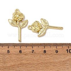 Подвески из сплава  FIND-Z095-12G