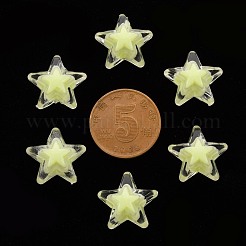 Прозрачные акриловые бусины&nbsp;TACR-S152-11A-07