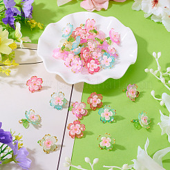 30шт 5 цвета прозрачные акриловые подвески&nbsp;PALLOY-TA00304