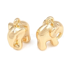 Pendentif en alliage &nbsp;AL-CBA83D5-23G