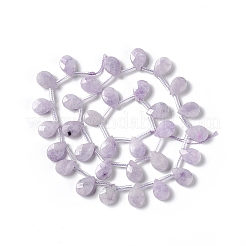 Натуральные лепидолитовые бусины G-G805-B18