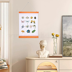 Настенная брошь в рулонах для демонстрации ювелирных изделий ODIS-WH0001-61