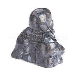 Натуральные лабрадоритовые дисплеи DJEW-J004-01C