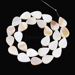 Нити бусин из натуральных пресноводных ракушек SHEL-N038-07