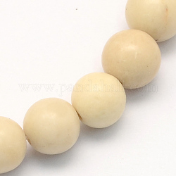 Perles rondes fossiles naturel brins, 12~12.5mm, Trou: 1.5mm, Environ 30 pcs/chapelet, 15.5 pouce