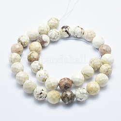 Brins de perles de magnésite naturelle, facette, ronde, 10mm, Trou: 1mm, Environ 38 pcs/chapelet, 15.7 pouce