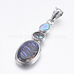 Conchiglia abalone / ciondoli conchiglia paua, con accessori di ottone, platino, ovale e lacrima, 42x14.5x4mm, Foro: 4x7 mm