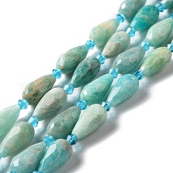 Brins de perles d'amazonite de fleurs naturelles, facette, larme, 12~16.5x7.5~8.5mm, Trou: 0.8mm, Environ 20~21 pcs/chapelet, 14.96~15.63'' (38~39.7 cm)