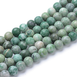 Qinghai naturelle perles de jade brins, ronde, 6~6.5mm, Trou: 1mm, Environ 63 pcs/chapelet, 15.5 pouce